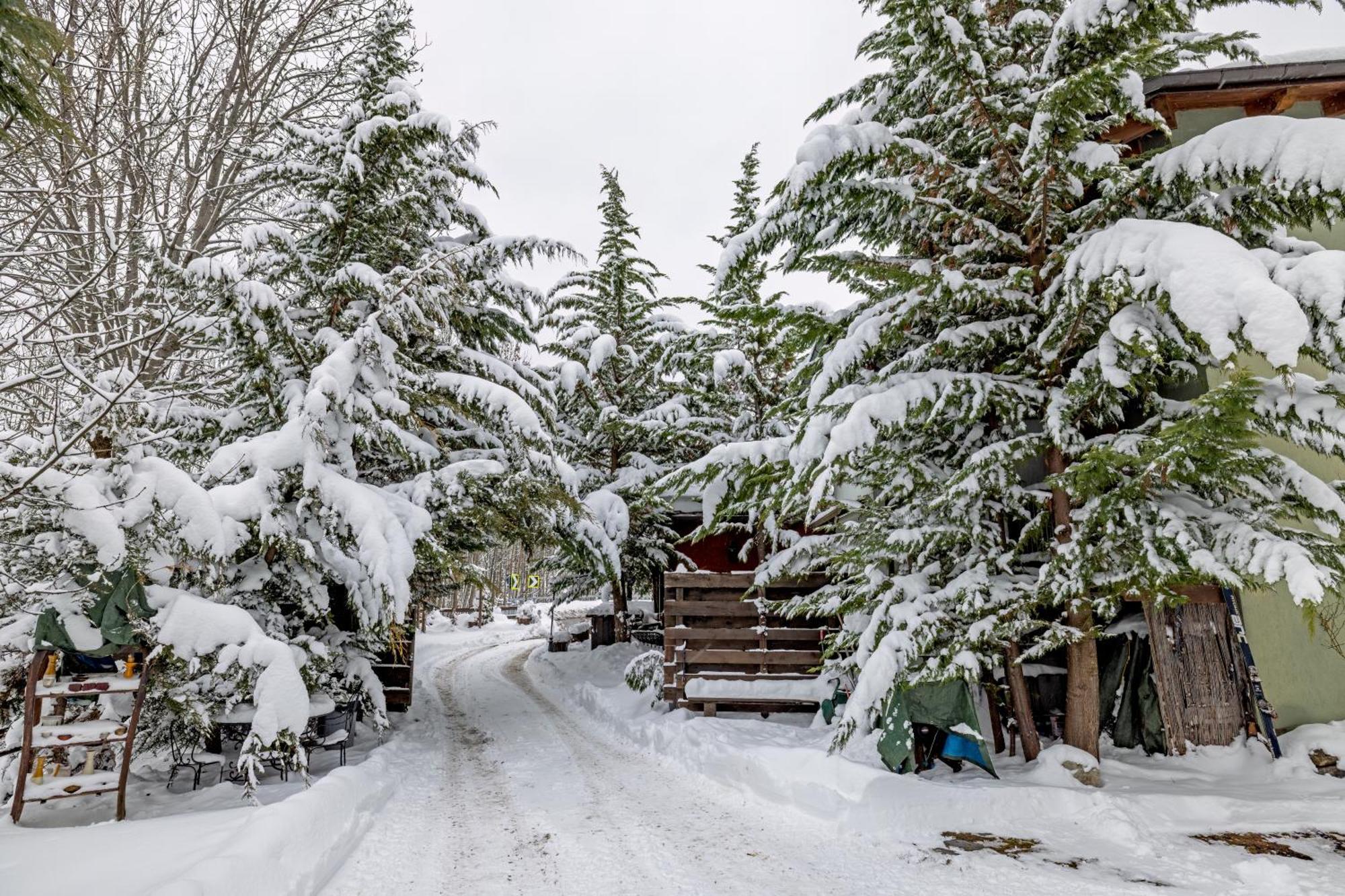 Chalet Bragard Limone Piemonte Exterior foto